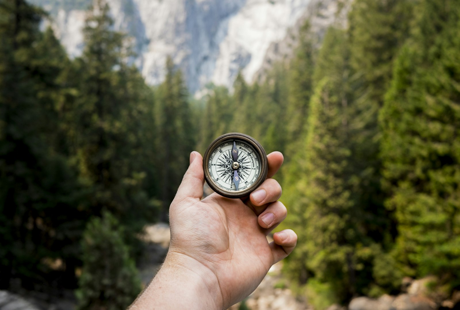 A hand holding a compass in front of a pine forest