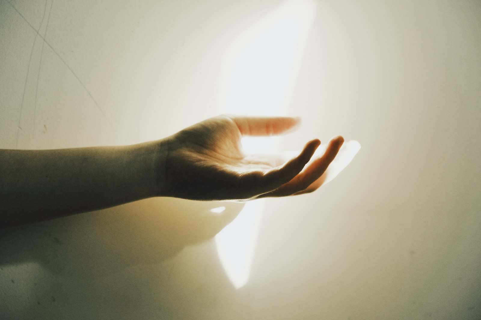 An open hand held out in soft sunlight