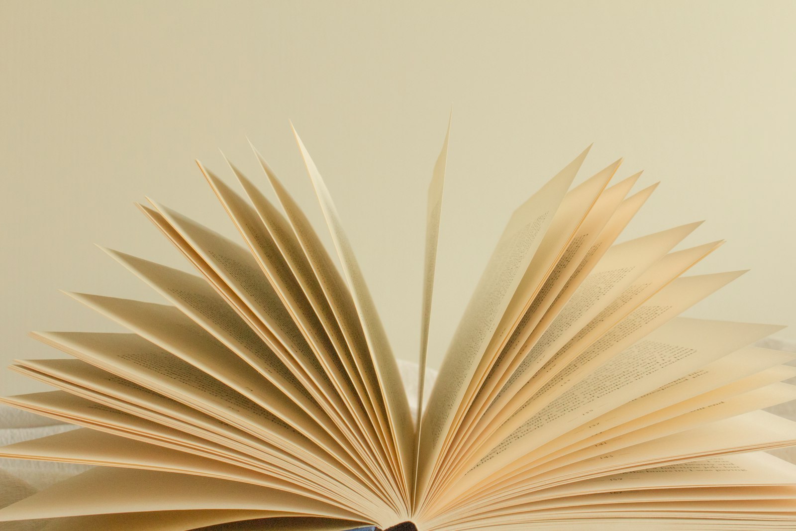 An open book with its pages fanned out in warm light